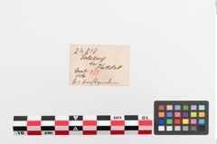 Etiketten zu Perlenkette (NHMW-PRAE-024818)